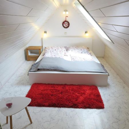 Schone Dachgeschosswohnung In Villa Mit Zentrumsnaher Lage 施莱茨 外观 照片