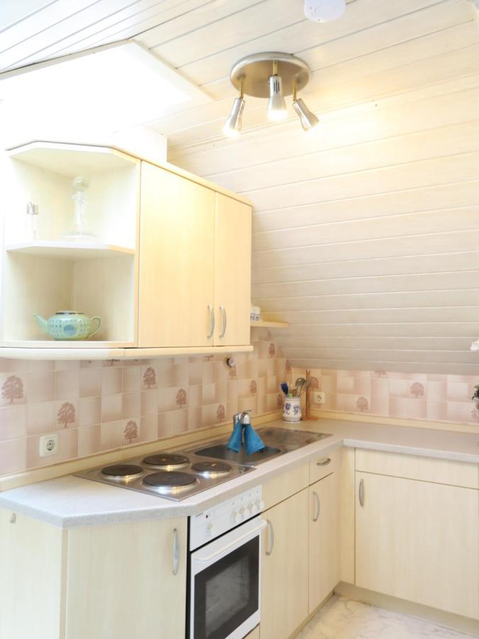 Schone Dachgeschosswohnung In Villa Mit Zentrumsnaher Lage 施莱茨 外观 照片